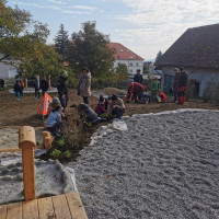 Pflanz-Werkstatt